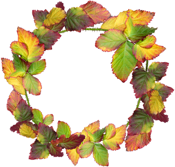 Transparent Png Fall Wreath (640x597), Png Download