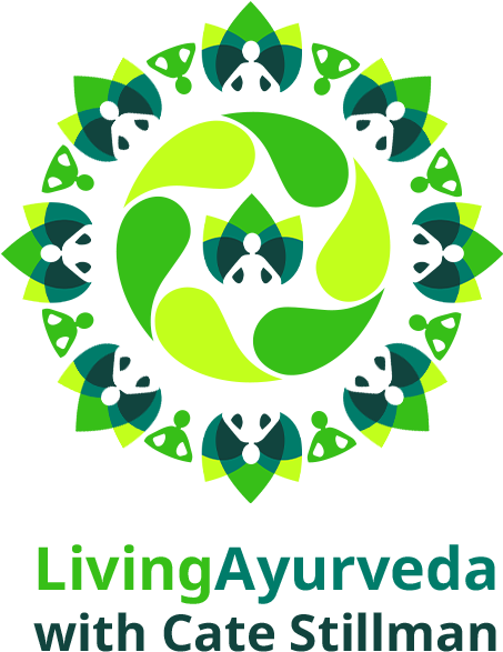 How To Thrive With Ayurveda - Conversation (642x642), Png Download
