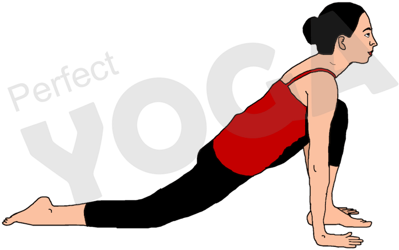 In The Third Stance Of The Purna Surya Namaskar Arrangement - Jumping (900x900), Png Download