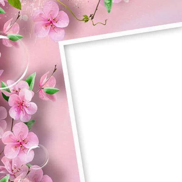 Pink Flower Frame - Flowers Wallpaper For Phone (600x600), Png Download