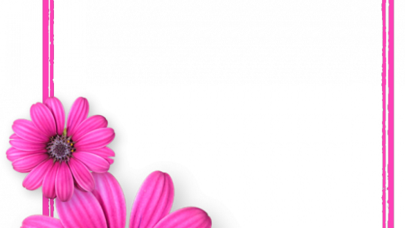 Pink Flower Frame Png (585x329), Png Download