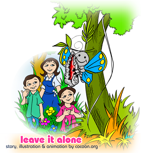 Cocoon Articles And Butterfly Life Cycle - Butterfly Life Cycle (490x514), Png Download