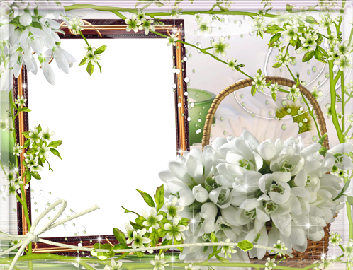 Bunch Of Snowdrops - Днем Святого Николая 22 Мая (498x382), Png Download