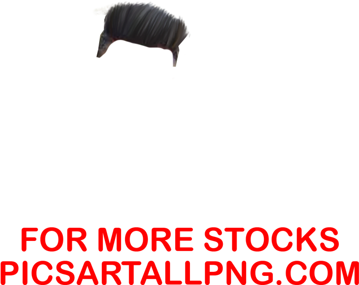 Cb Editing Hair Png,hair Png,picsartallpng - Picsart Photo Studio (1186x971), Png Download