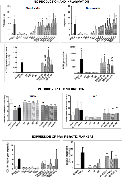 Protective Effect Of Fucoidans Against Inflammatory - Architecture (427x633), Png Download