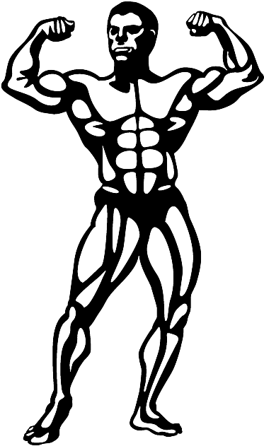 Superset Bodybuilding - Body Builder Clip Art (458x708), Png Download
