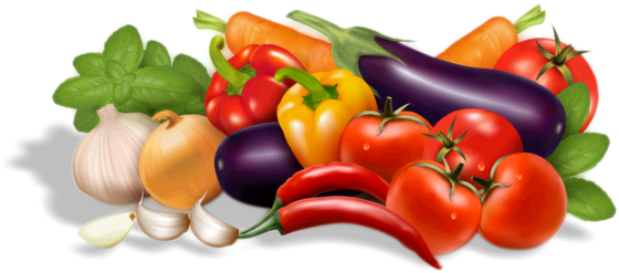 Fruits, Vegetables, Herbs And Spices - Fruits And Vegetables Vector Free (560x247), Png Download