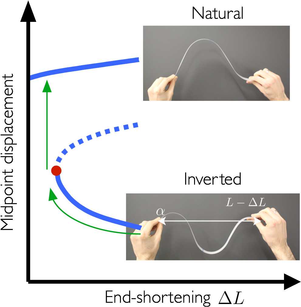 Hummingbirds, Umbrellas And Hopper Poppers Do It - Diagram (1063x1063), Png Download