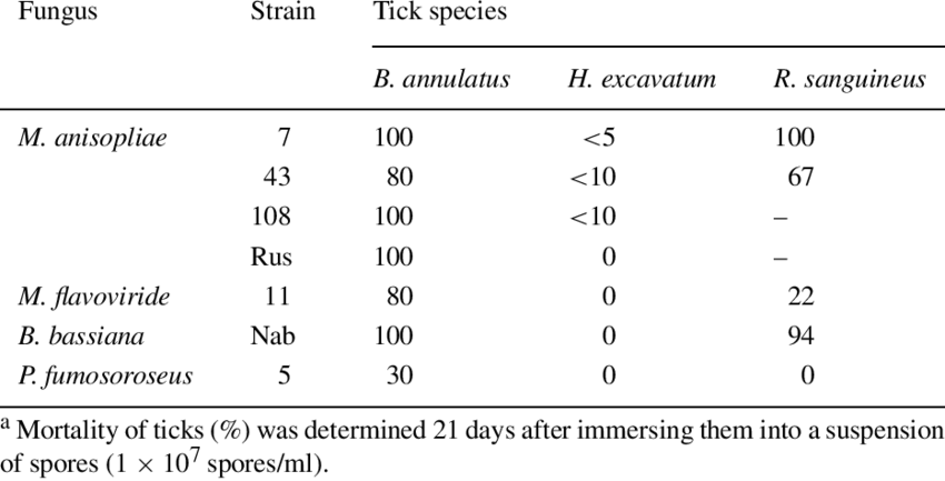 Efficacy Of Entomopathogenic Fungi Toward Engorged - Mothers Against Decapentaplegic Homolog 4 (850x433), Png Download