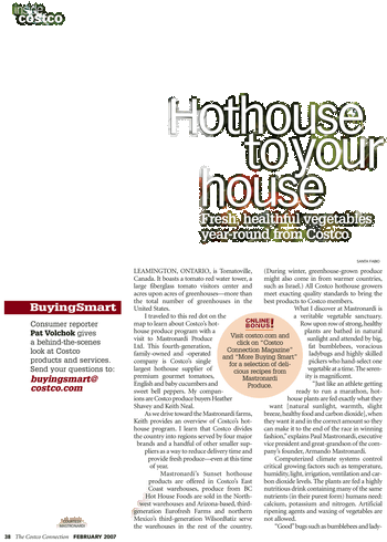 Modelo De Jornal Informativo (379x513), Png Download