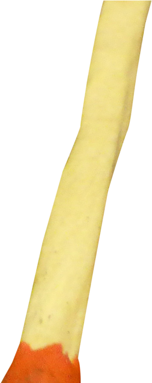 Matchstick Png Transparent Image - Goose (1024x768), Png Download