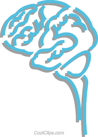 Human Brain Royalty Free Vector Clip Art Illustration - Illustration (344x480), Png Download