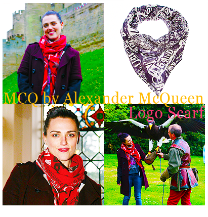 Mcq By Alexander Mcqueen Logo Scarf - Scarf (500x500), Png Download