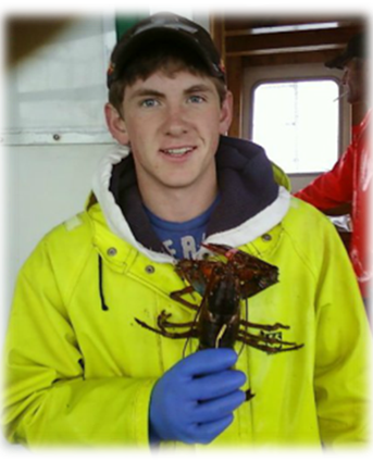 Kat's Lobster Shack - American Lobster (343x425), Png Download