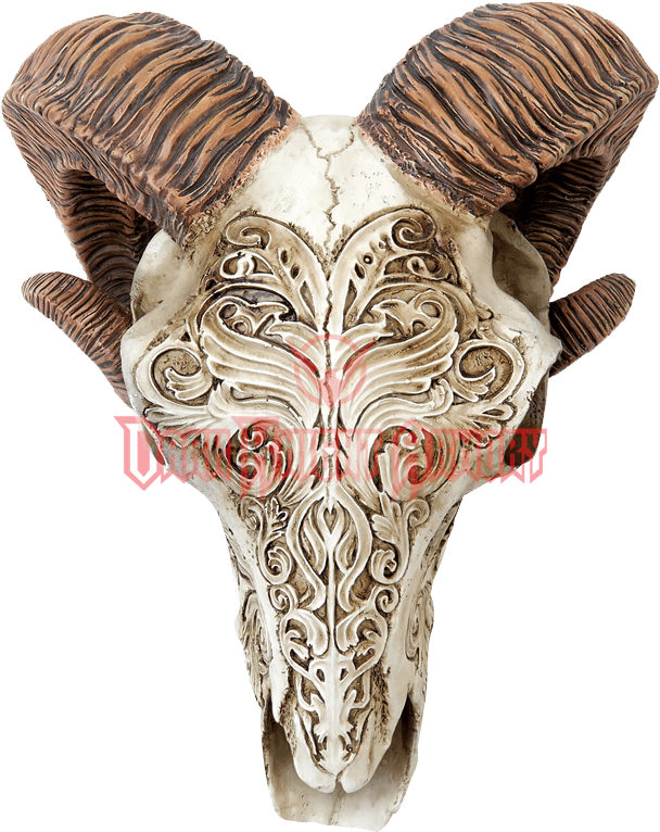 Scrimshaw Ram Skull (778x778), Png Download