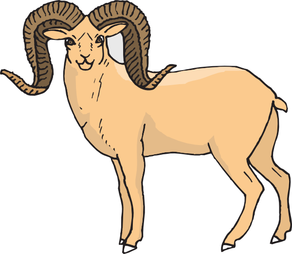 Bighorn Sheep Clipart Cartoon - Big Horned Sheep Clipart (600x522), Png Download