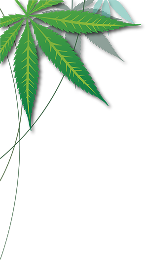 Topleft Topright - Vienna (300x525), Png Download