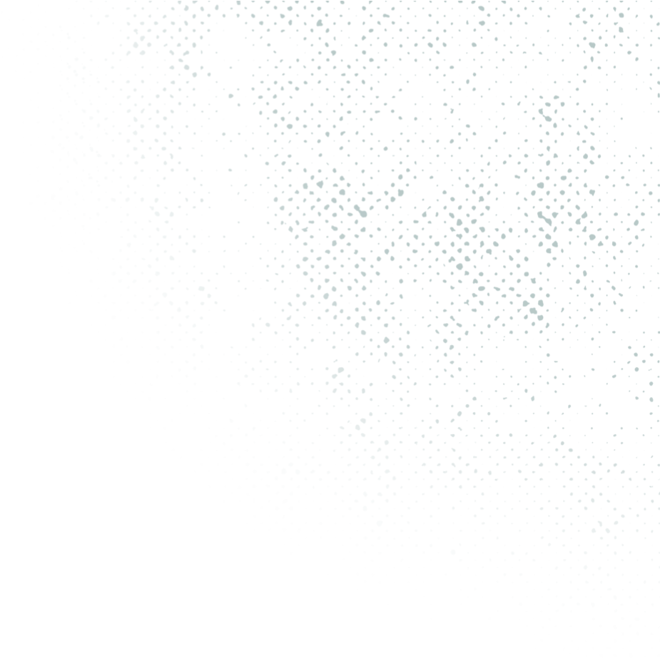 For The Next Twelve Days Leading Up To The Holidays, - Bird (944x944), Png Download