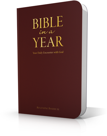 Bible In A Year - National University Of Villa María (400x495), Png Download