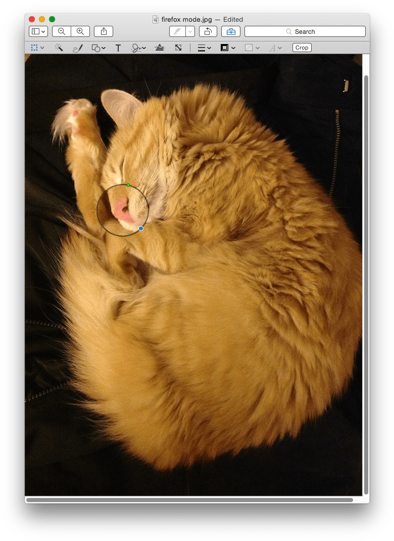 This Will Insert A Loupe, Which Will Zoom In On An - Cat Yawns (795x1081), Png Download