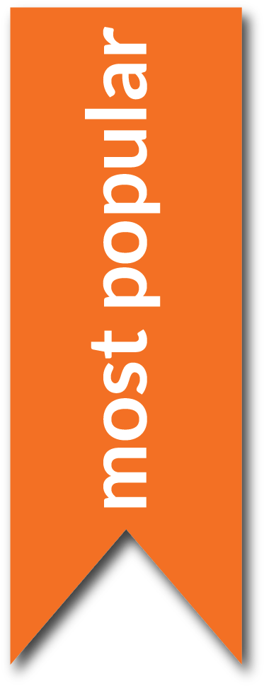 Gold Optimum Plan For E-commerce - Most Popular Plan Png (378x980), Png Download