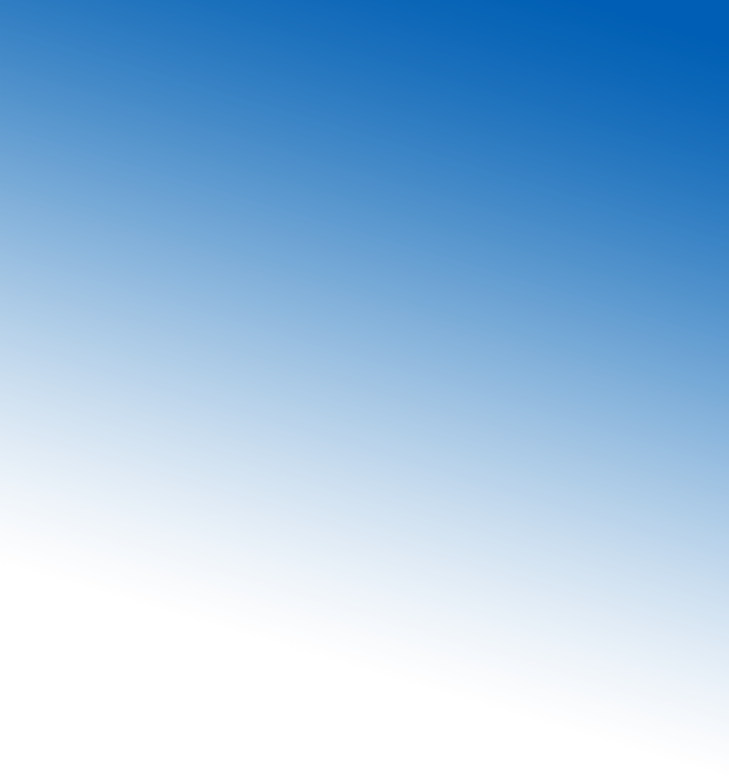 31% - Tree (2400x2563), Png Download