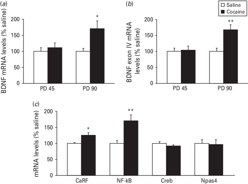 Developmental Exposure To Cocaine Alters The Transcriptional - Messenger Rna (850x631), Png Download