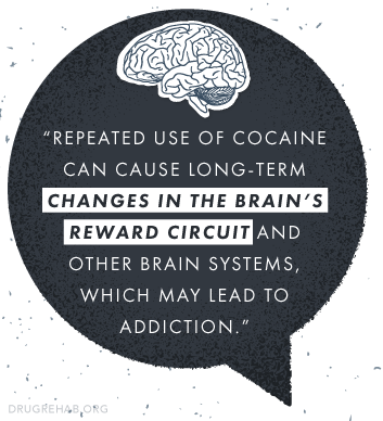 Freebase Cocaine Nida - Cocaine (353x388), Png Download