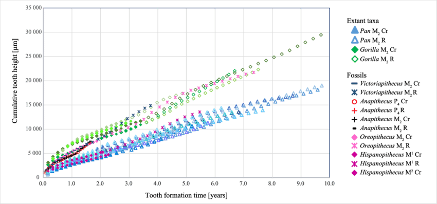 Plots Of Cumulative Growth In M 2 Crown And Root Height - Plot (850x397), Png Download