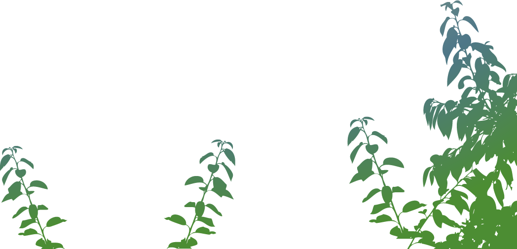 Something To Do With Seagulls (1048x505), Png Download