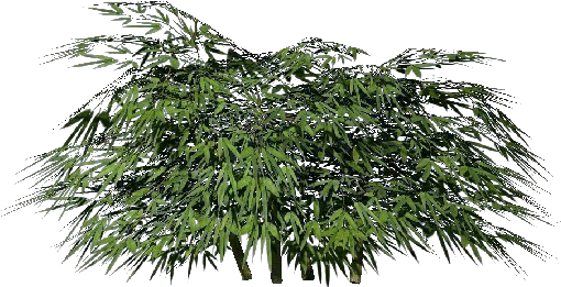 Arbusto 3d - Bambu - Shrub (750x527), Png Download