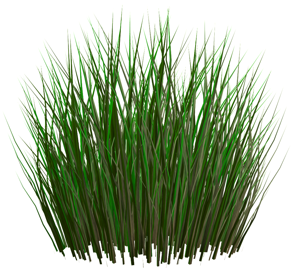 Png De Ornamentação Transparente Para O Arbusto Em - Grass Png (1024x937), Png Download