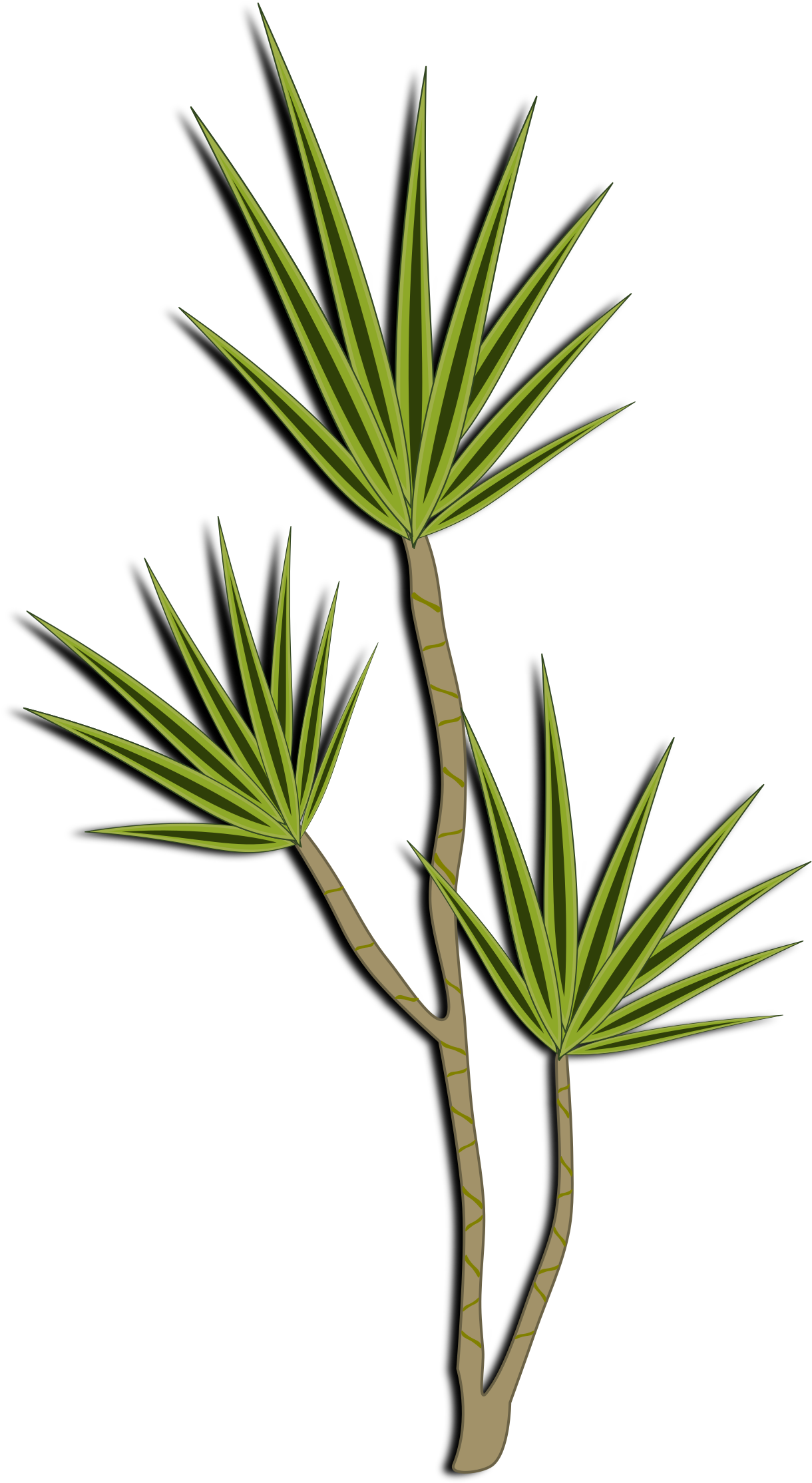 Big Image - Desert Shrub Clipart (2400x2400), Png Download