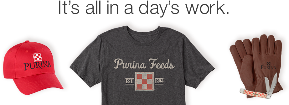 Purina Mills Online Estore - Urban Chicken (927x367), Png Download