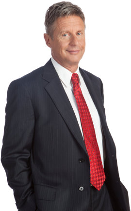 Gj Full Shot 2 Low Res Gary Johnson - Libertarian Candidate 2016 (288x439), Png Download