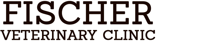 Logo For Fischer Veterinary Clinic New Braunfels Texas - Fischer Veterinary Clinic (960x210), Png Download
