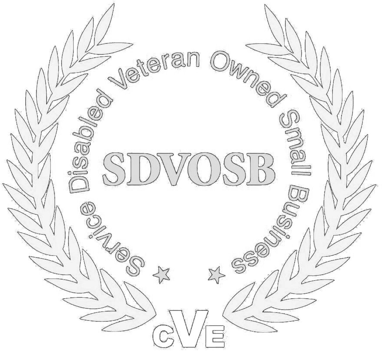Service Disabled Veteran Owned Small Business (1338x1338), Png Download