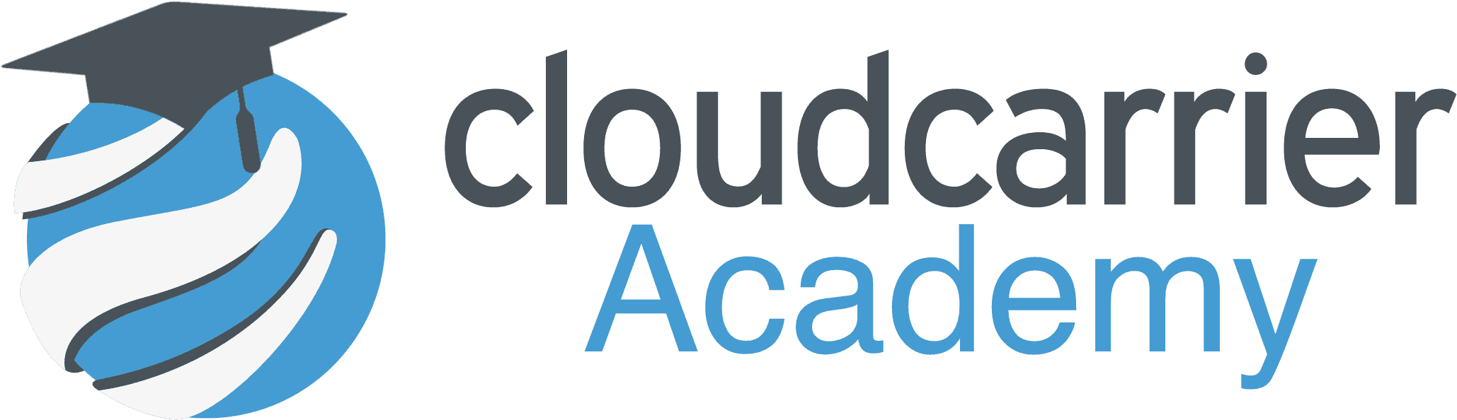 Carrier Logo Png For Kids - Castle View Enterprise Academy (2532x1013), Png Download