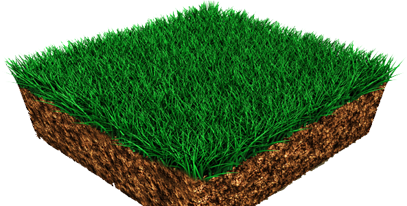 Northeast Ohio Lawn Care 330 861 - Ohio (600x300), Png Download