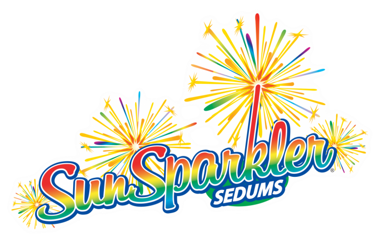 Chris Hansen Is At It Again With The Introduction Of - Stonecrop (750x500), Png Download