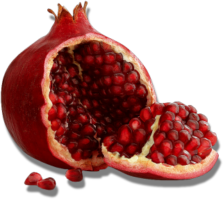 Grenade - Pomegranate Png (450x300), Png Download