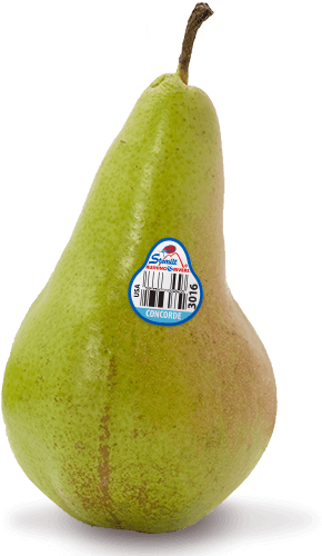 Graphic Library Download Concorde Pears Stemilt Organic - Organic D Anjou Pears (500x500), Png Download