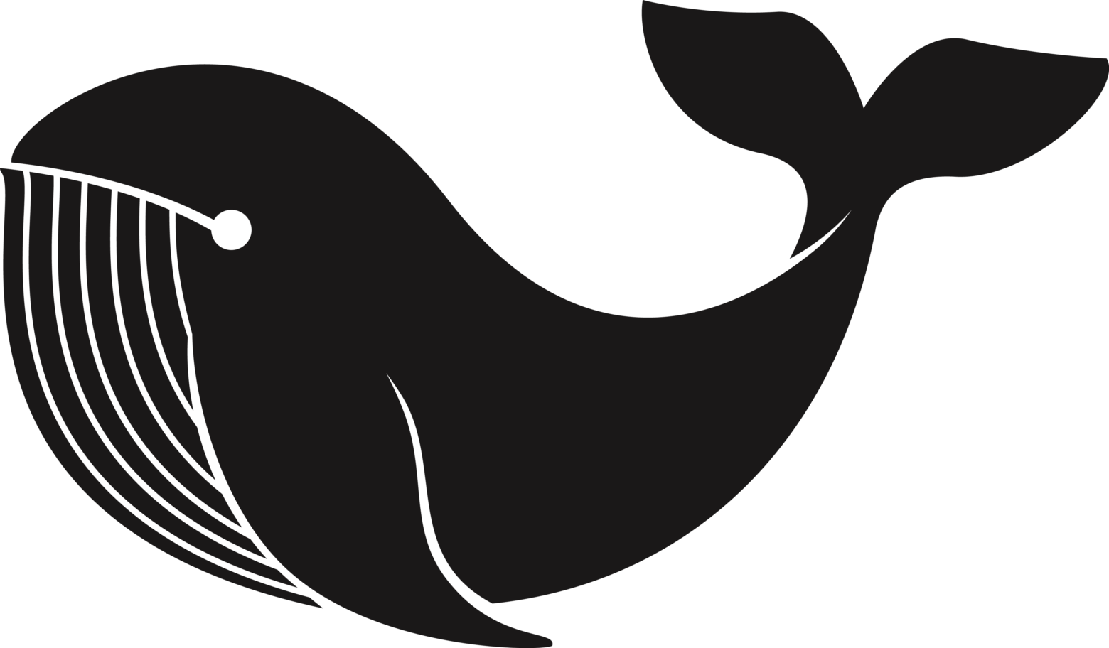 고래 Png 무료다운로드 Free Whale Png - Portable Network Graphics (1560x912), Png Download