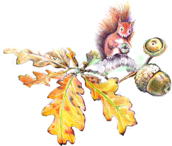 Under The Old Oak Tree - Oak (577x493), Png Download