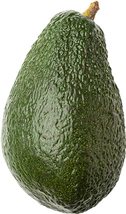 Avocado - Photography (600x500), Png Download