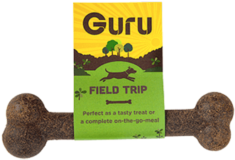 Small Guru Pet Food Dog Bone 47g - Countrywide Guru Small Field Trip Bones Dog Treats (500x500), Png Download