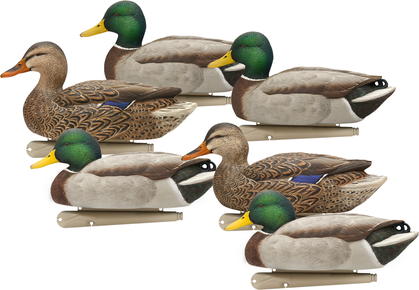 Features The Innovation Weight-forward Swim Keel Design - Avian X Top Flight Early Season Mallard Decoy Pack (1600x1417), Png Download