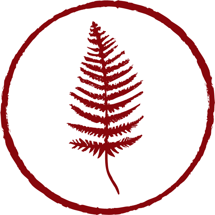 Fern Clipart Red Fern - Photograph (894x837), Png Download