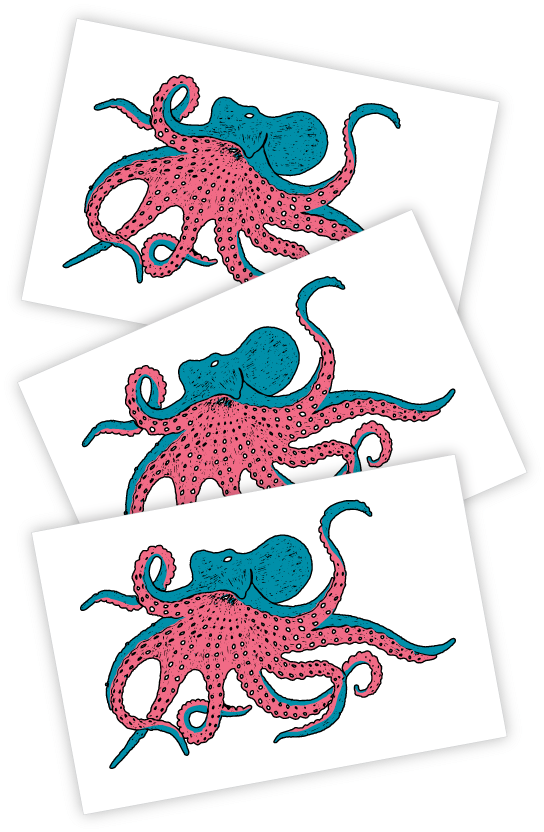 Octopus (811x1081), Png Download