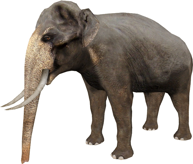 Sri Lankant Elephant - Sri Lankan Elephant Png (674x674), Png Download